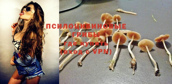ALPHA PVP Волосово
