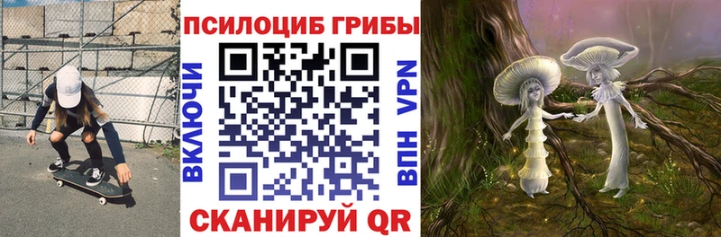 Купить  Назарово  Галлюциногенные грибы Cubensis 